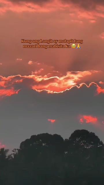 @🌙Shahadat Er' Bow 💍🤍🕊️
