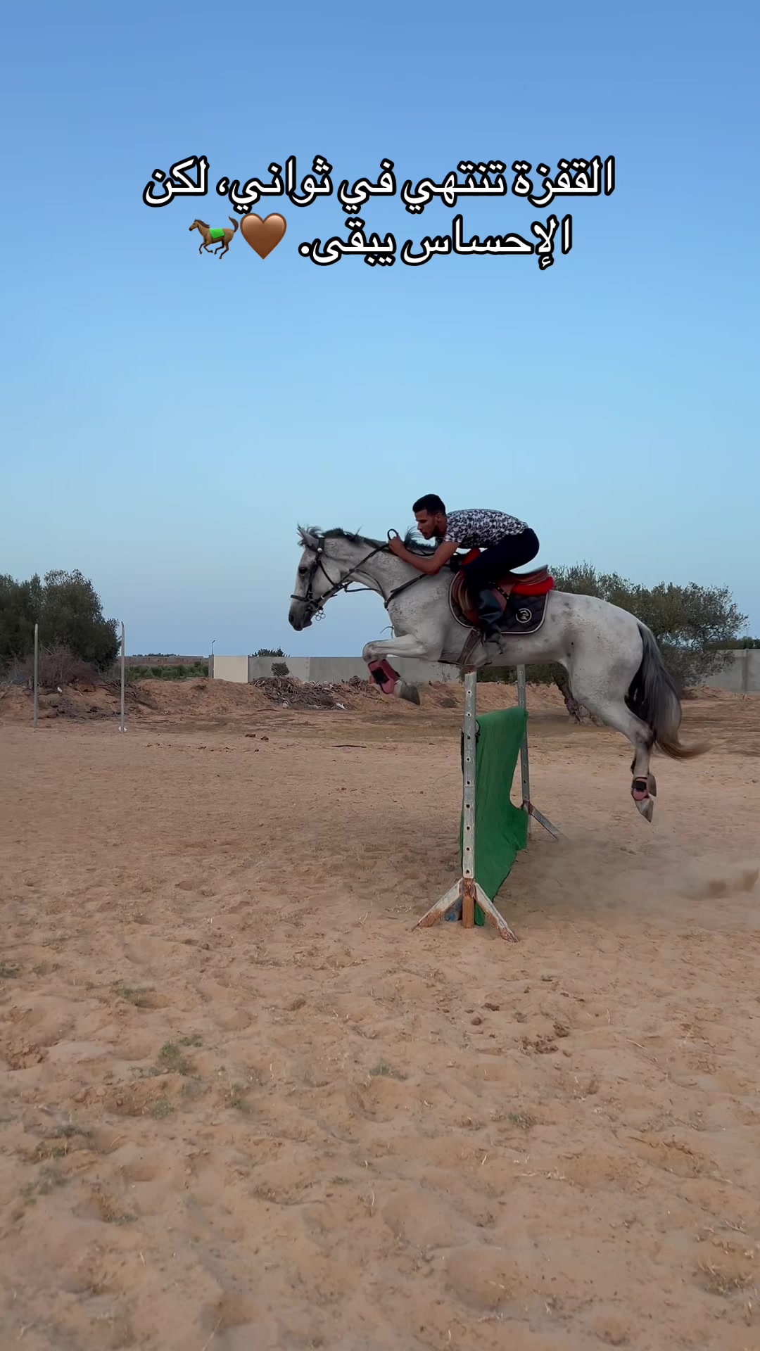 @Feres Ben Amor 🏇
