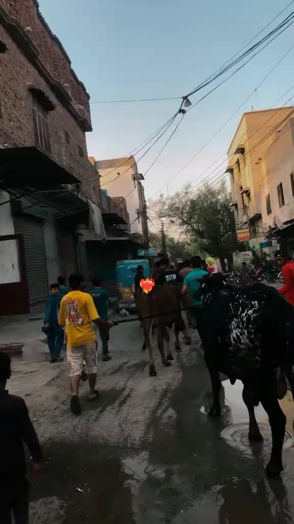 @BUTT BRO🐊ʕ&acute;&bull;ᴥ&bull;`ʔ