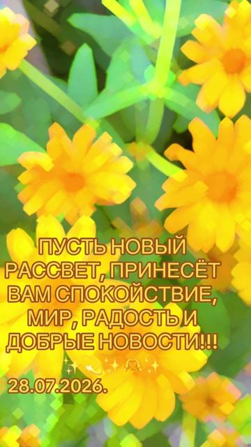 @🌺LILIY-LILIY🌺