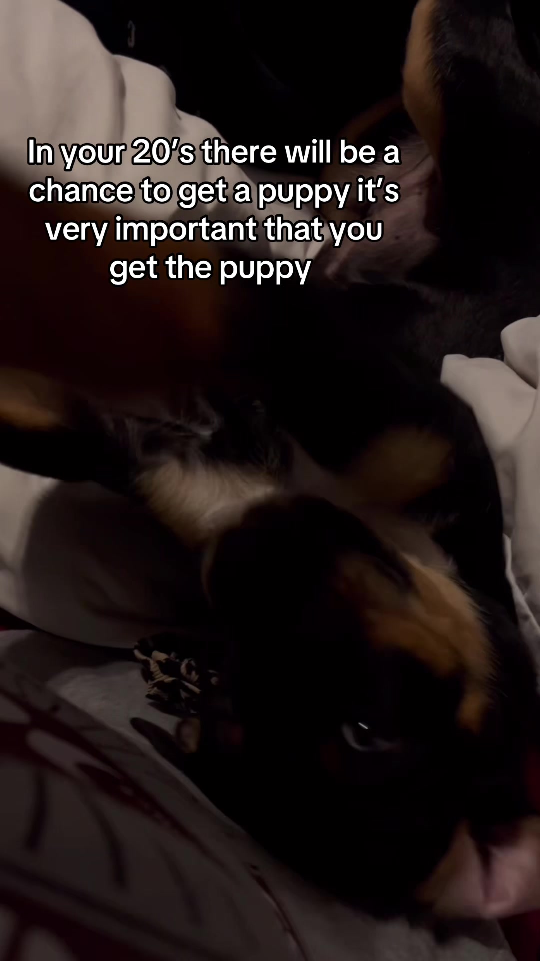 @Jayde