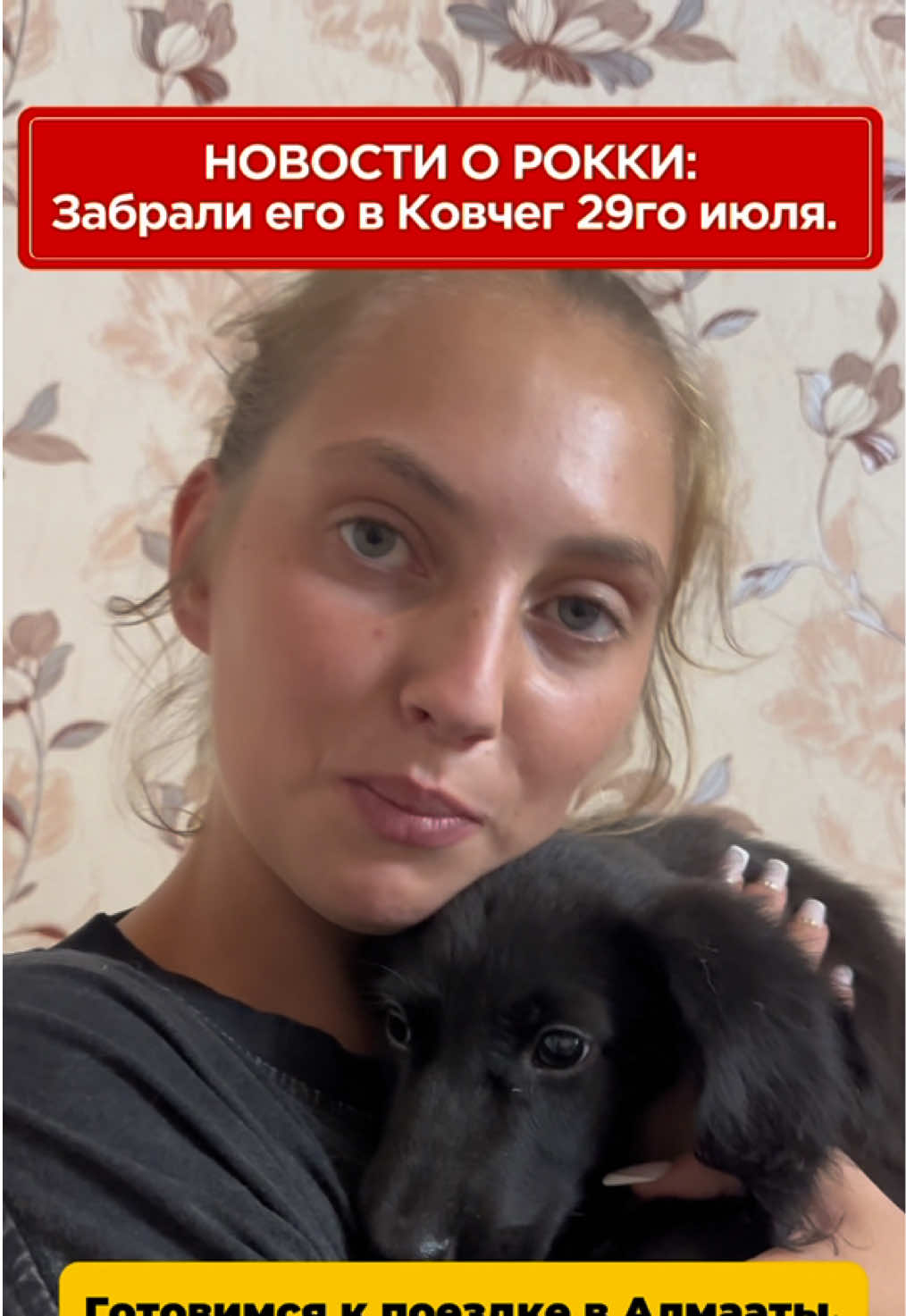 @Приют Ковчег Кыргызстан