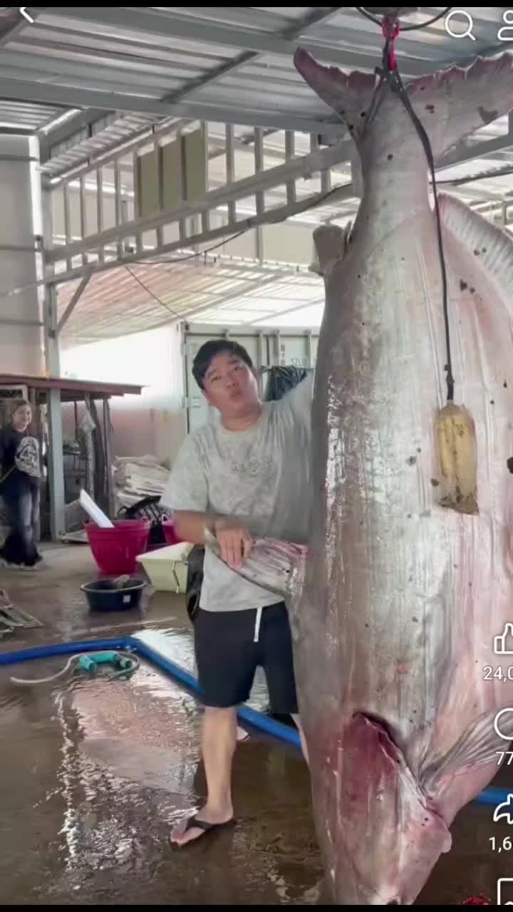 @AmirGarcia69🇲🇾🐂🐐