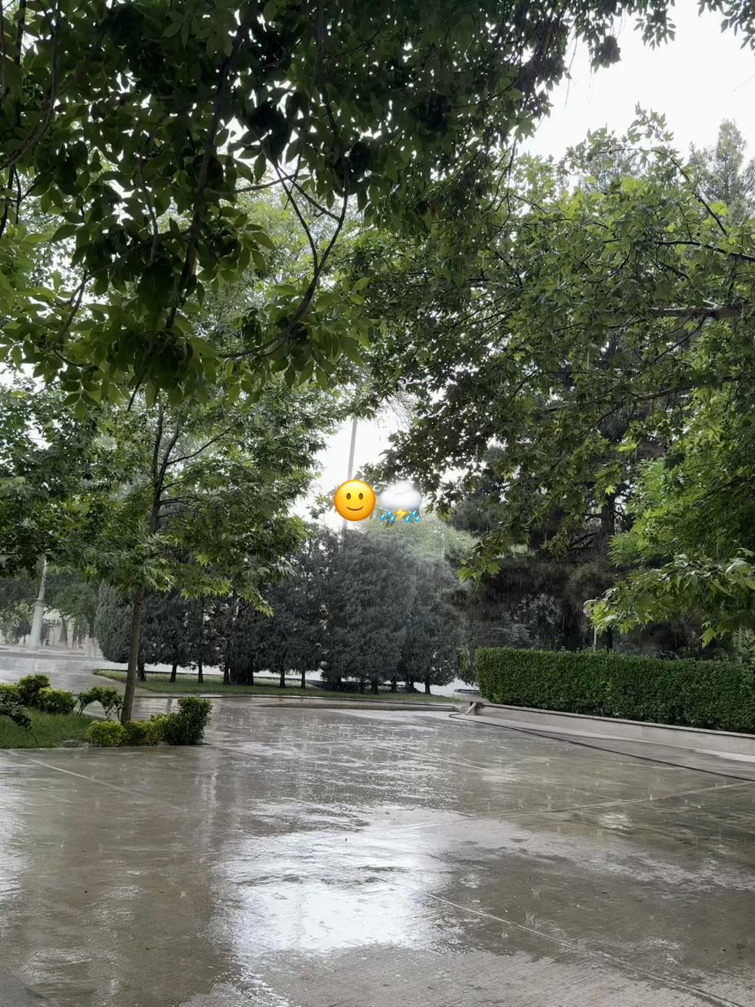 @𝗥𝗮𝘅𝗮𝗮_𝗰𝗴𝗻𝗹𝘆 ⚜️