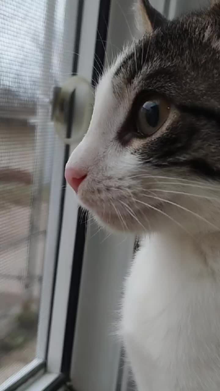 @🐾