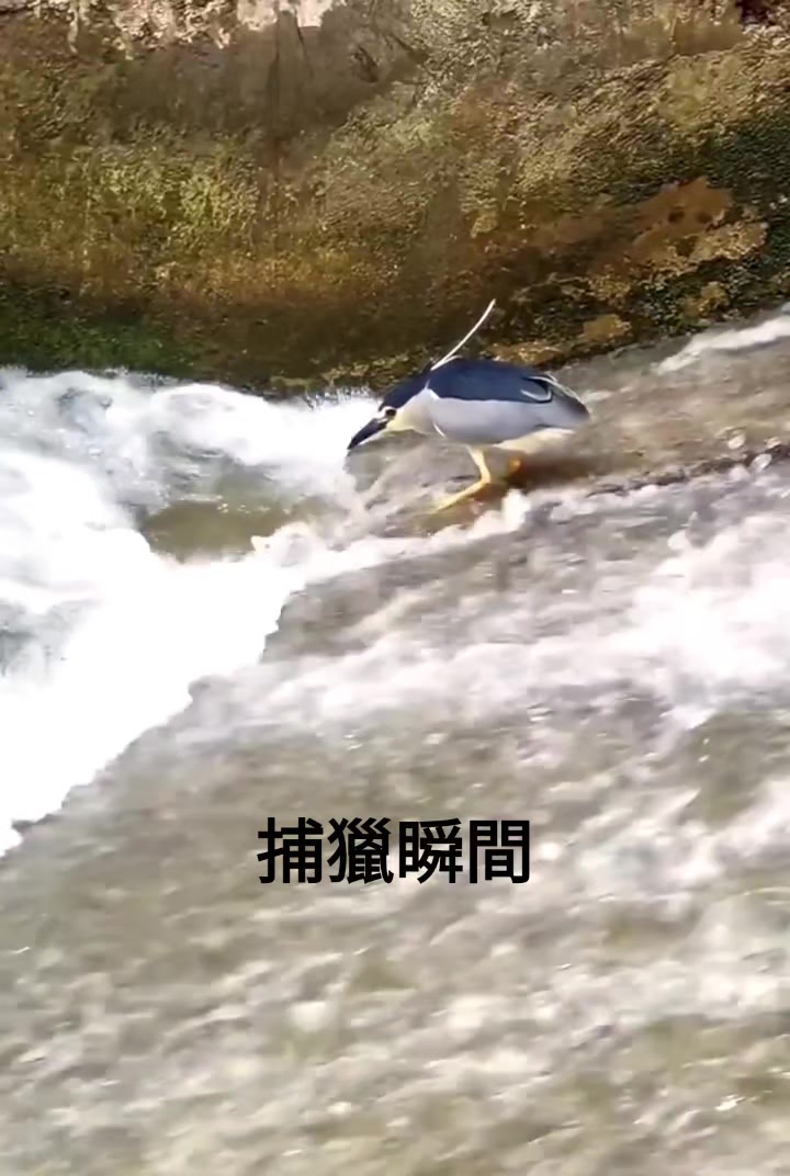@ArTaiwan