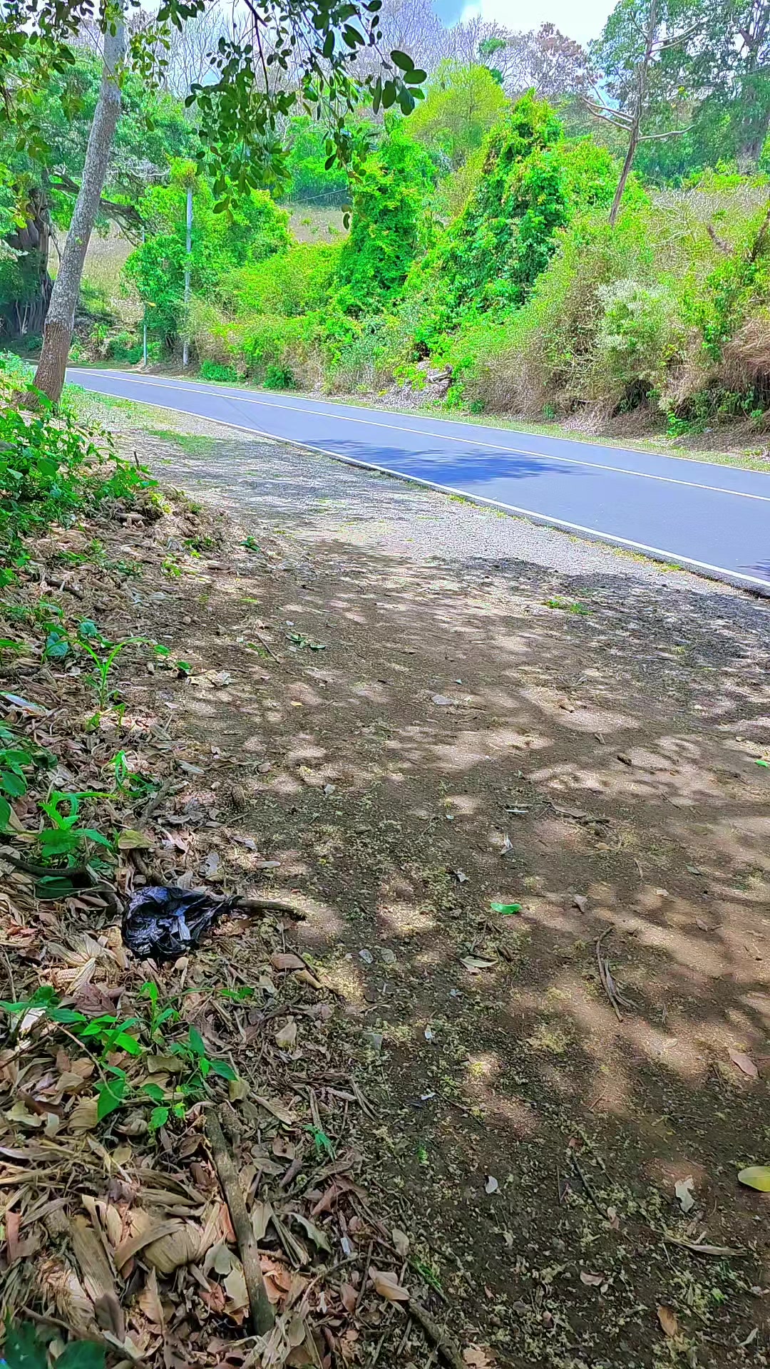 @alex💯 🧃la rojita❤️🔥🇸🇻