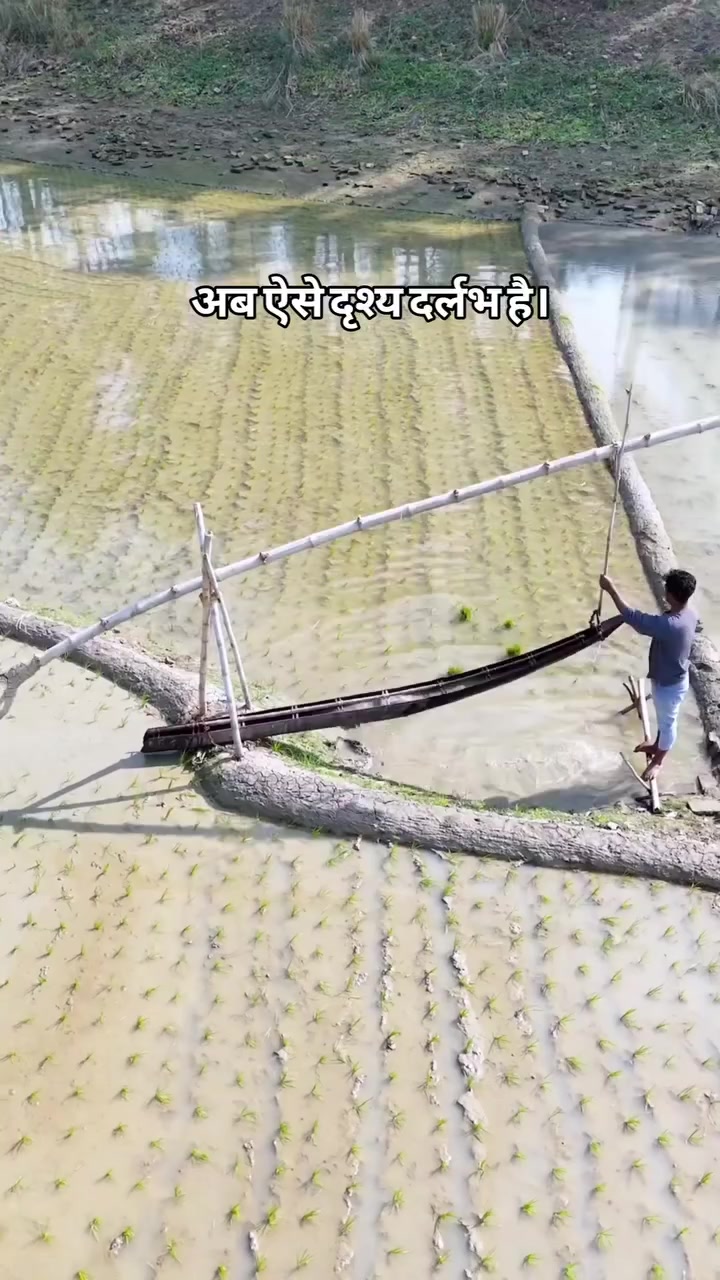 @Nayak Bhai