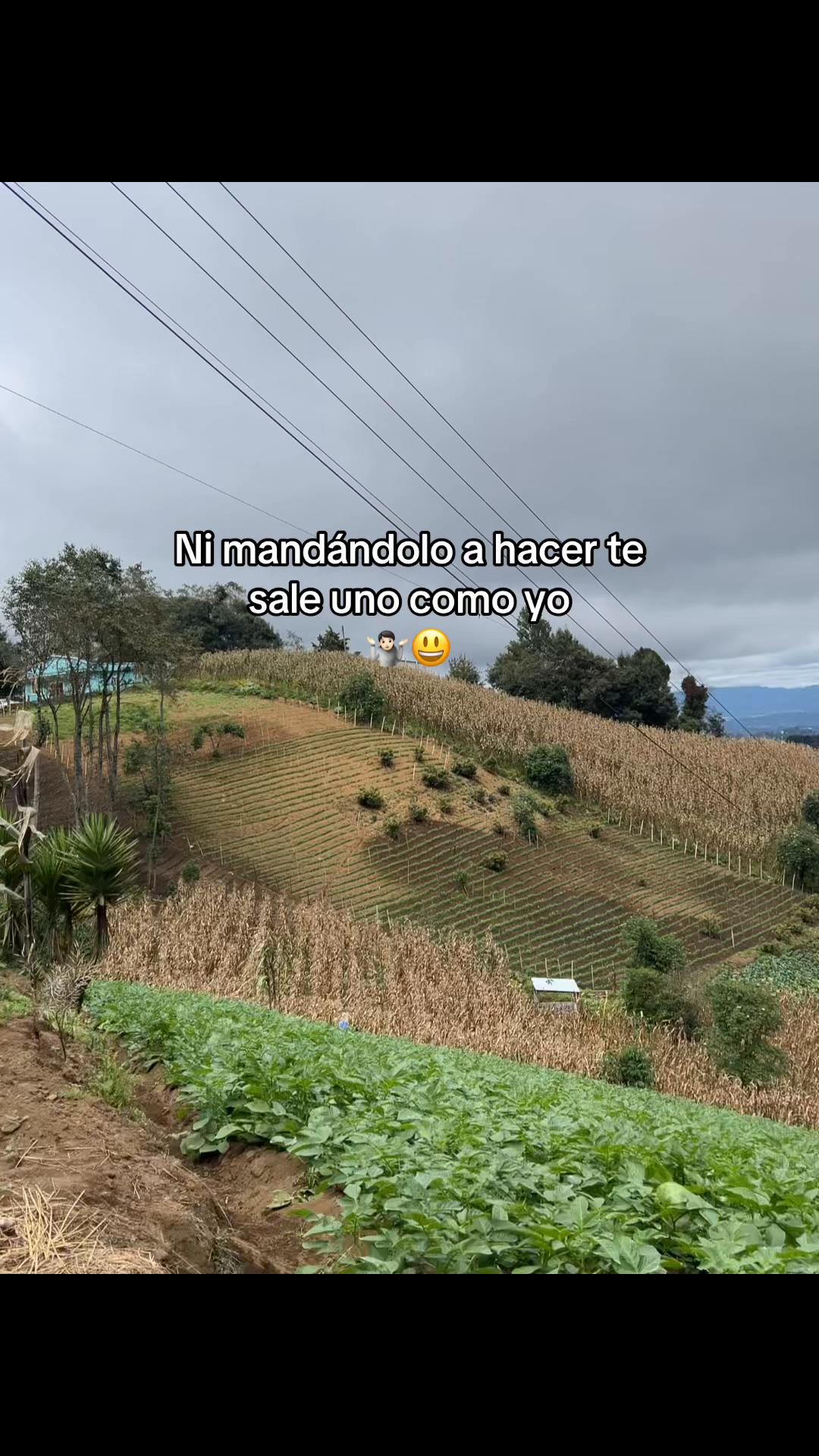 @Victor🌱🚜