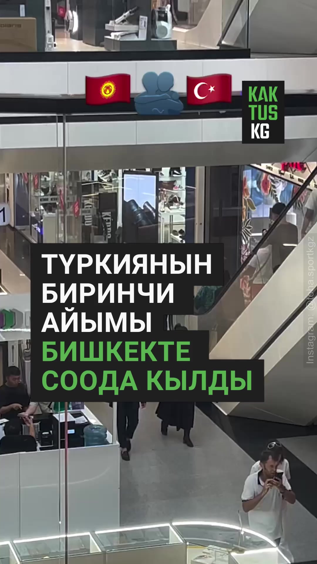 @Kaktus KG