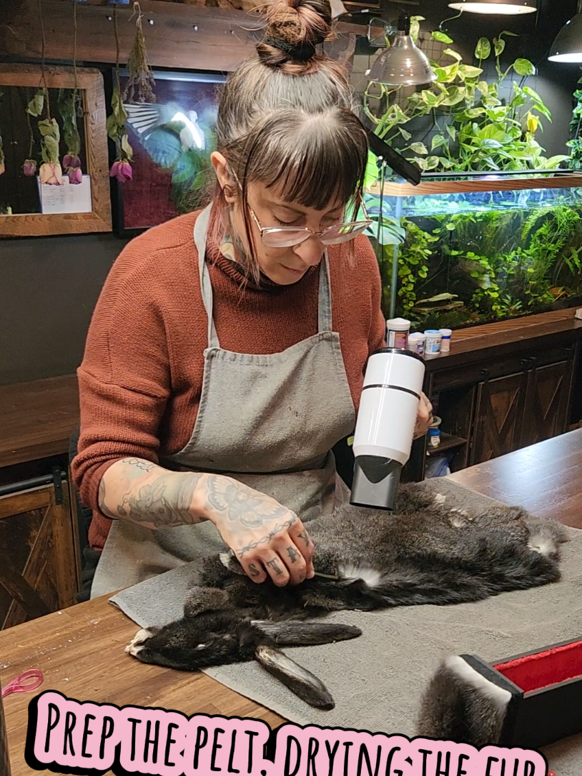 @May Jackalope Taxidermy 🇨🇦
