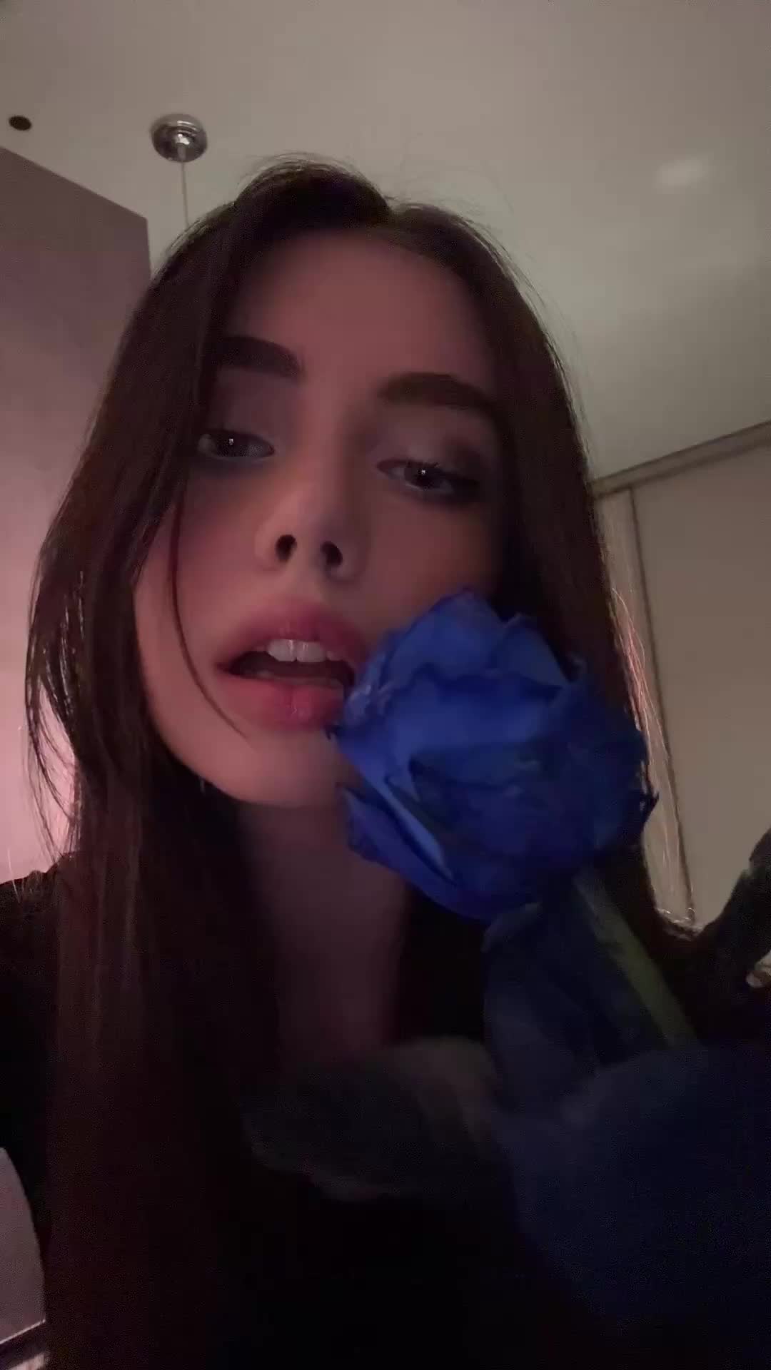 @здесь Стефани