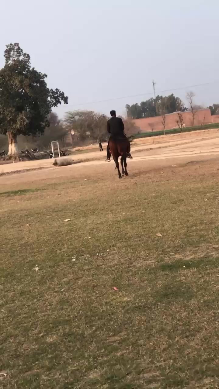 @احمد گل نمبر دار
