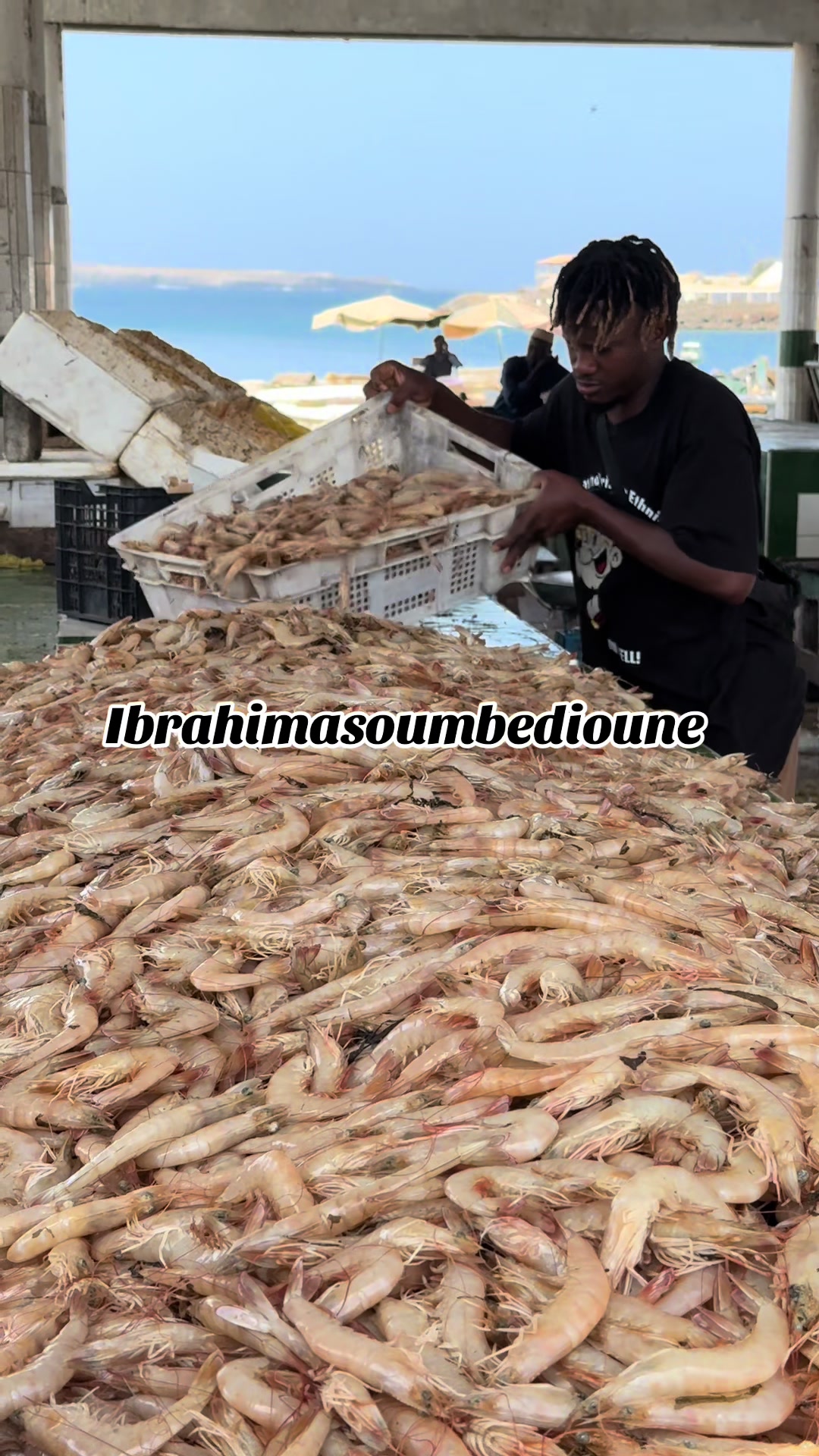 @Ibrahimasoumbedioune0