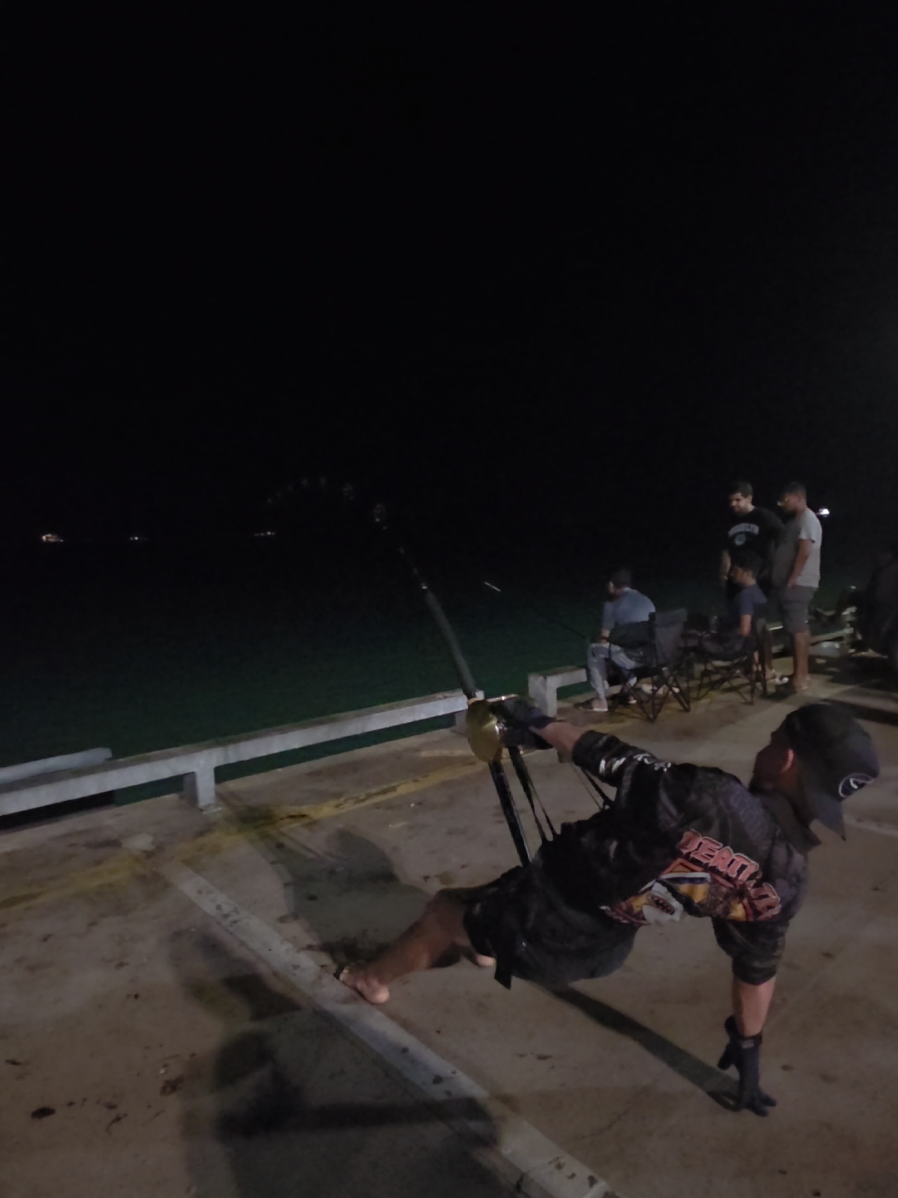 @NT SHARK KING