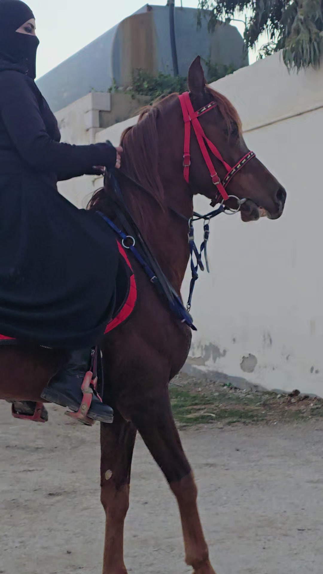 @الفارسة الملثمة 🐎🥷
