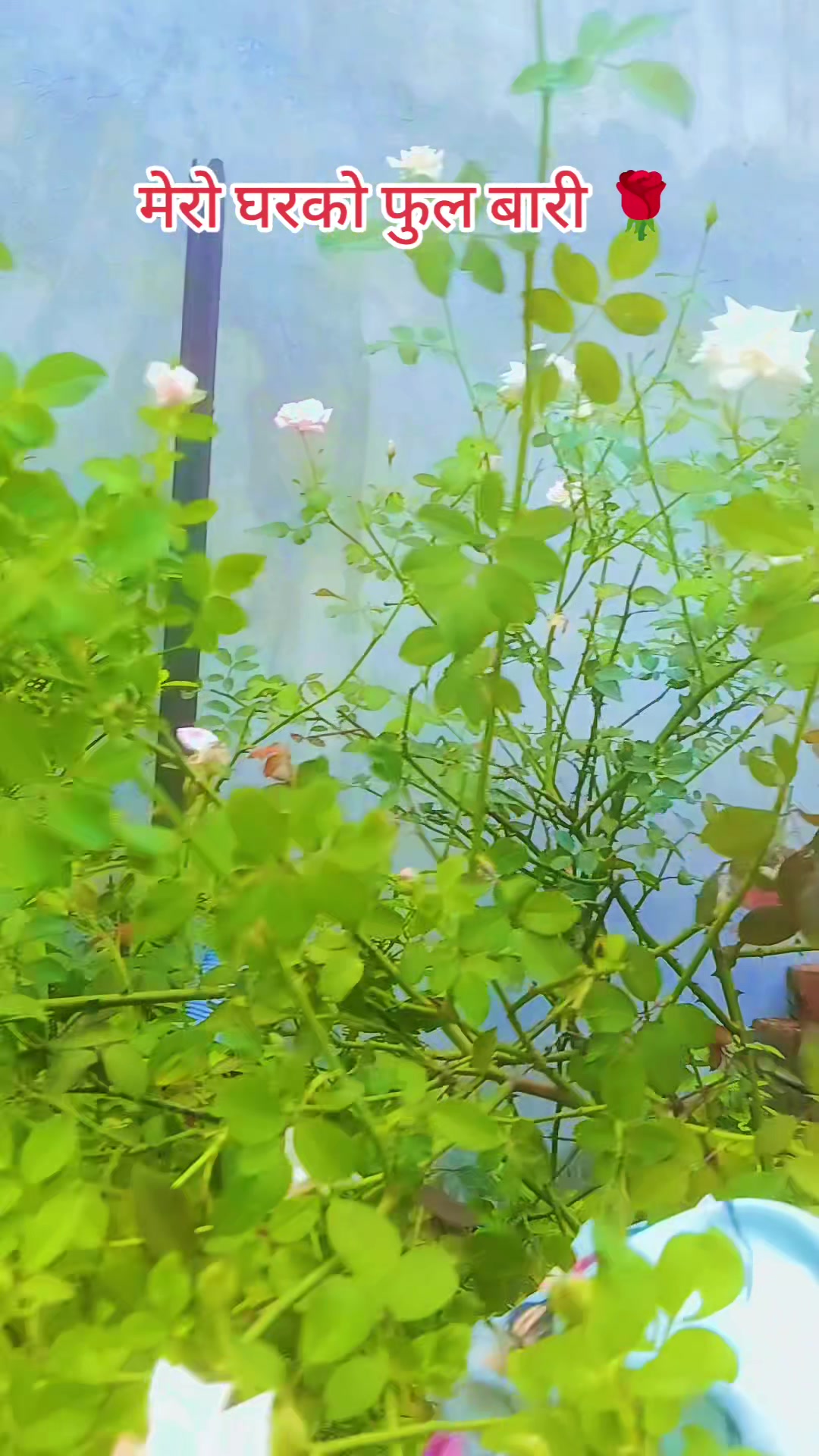 @NaNu_GuPtA_oP_