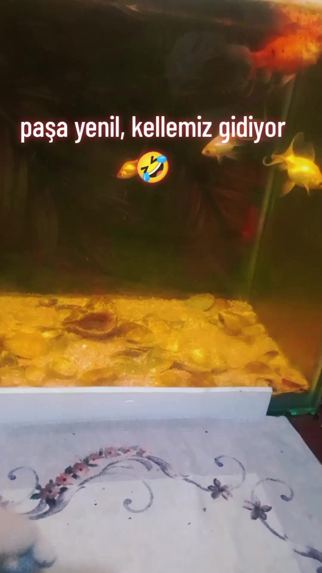 @&ccedil;amur