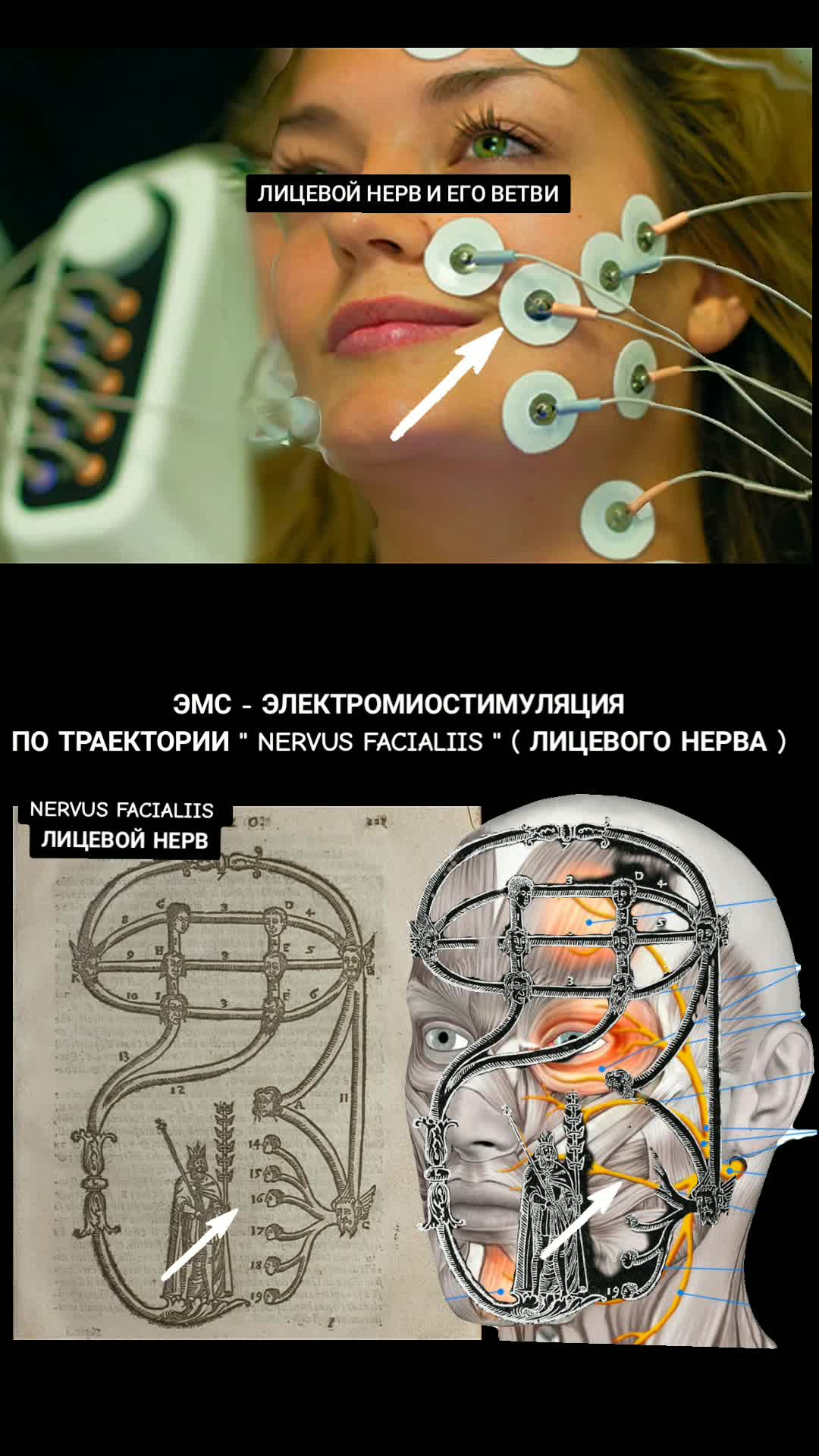 @ОЛЬГА ВЕЛЖИЧ
