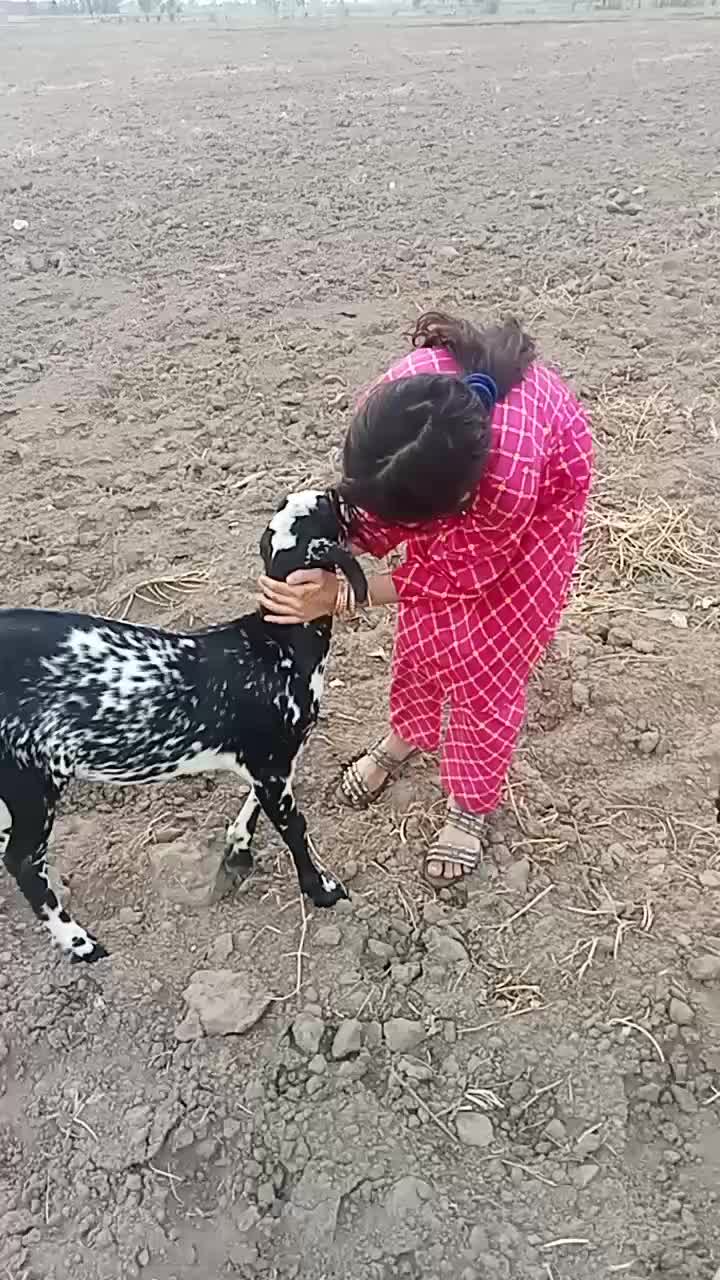 @💕💕💕💕💕💕💕💕💞💞