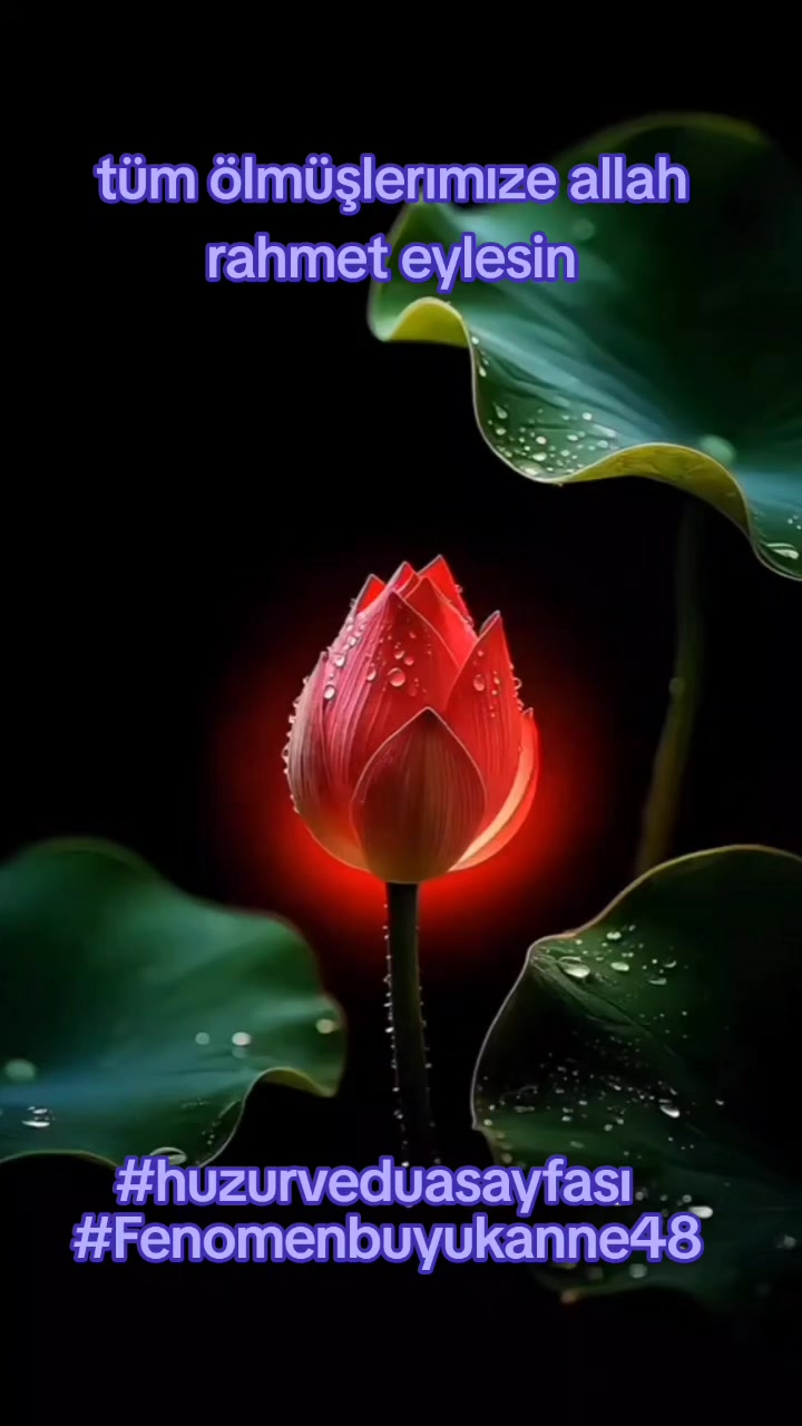 @Fenomenbuyukanne48