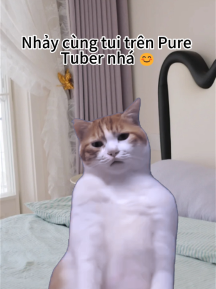 @Pure Tuber Vietnam