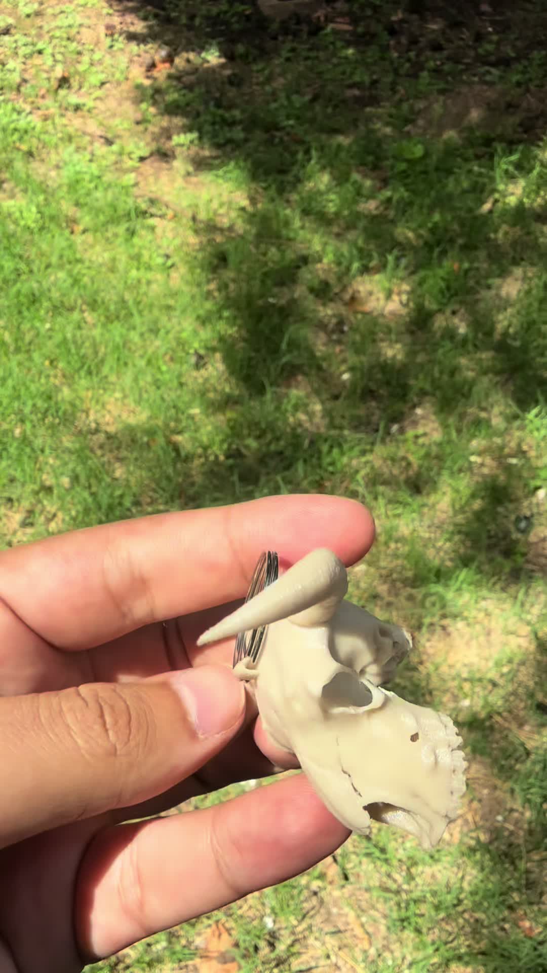 @MODO 3D