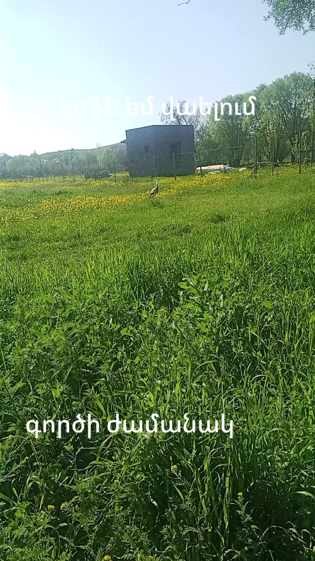 @Meri Sargsyan