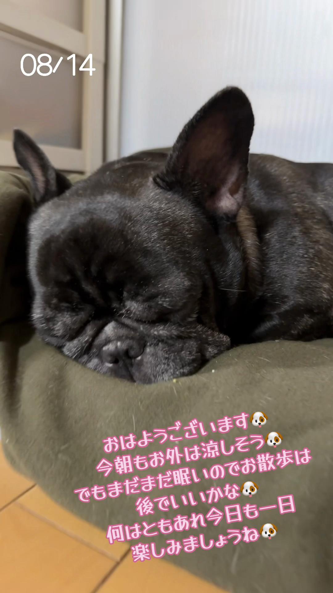 @遮那😎⚡️🐾