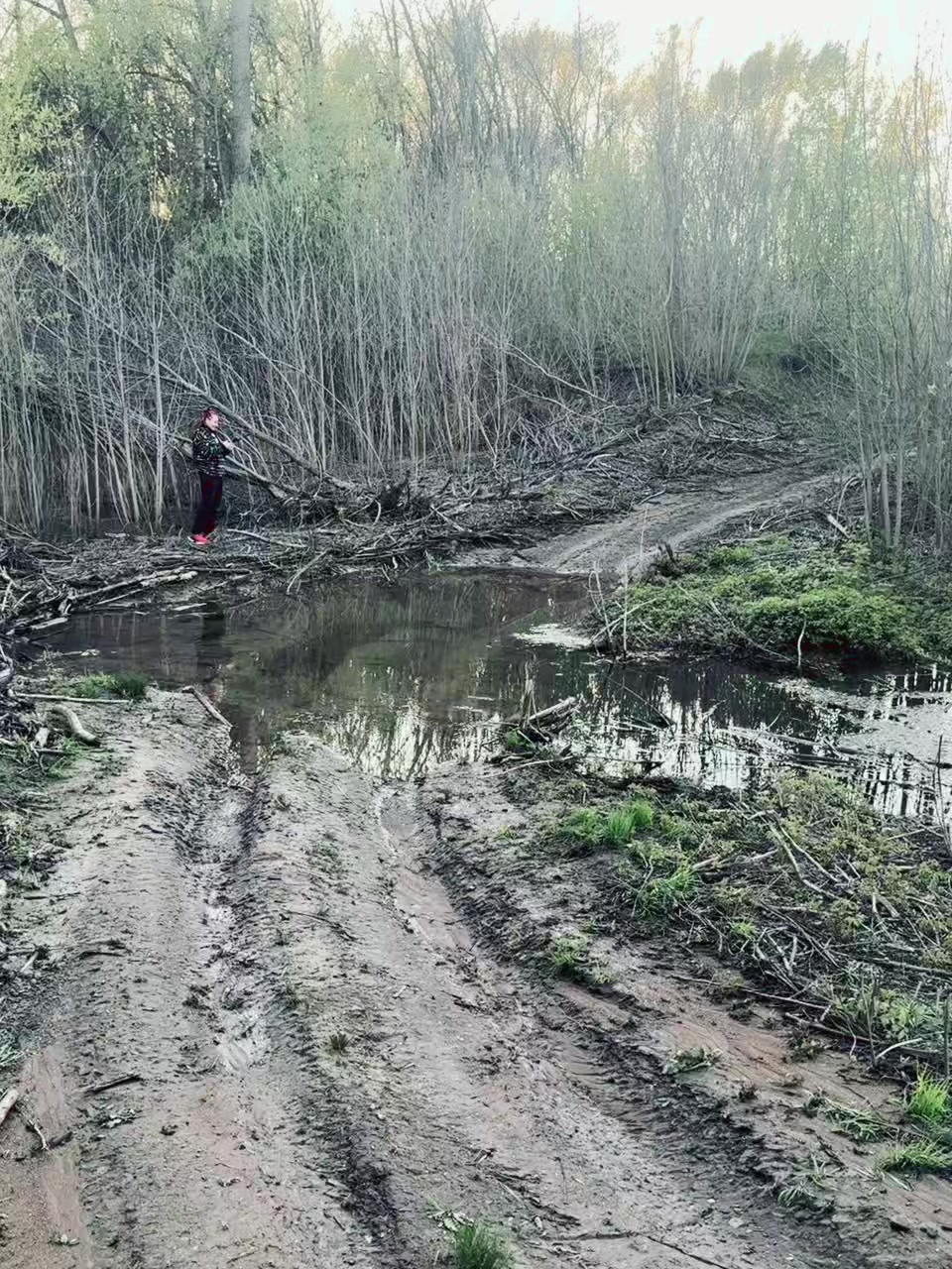 @Николай Боленко