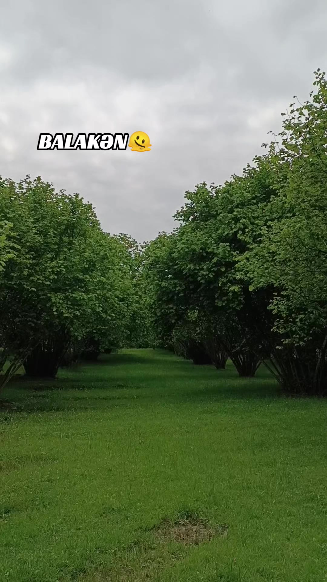 @𝓖𝓾̈𝓷𝓲 ᥫ᭡