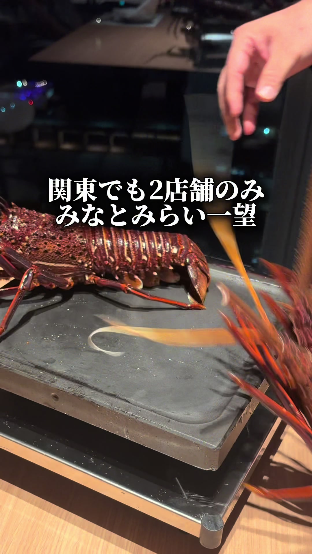 @東京ディナー【公式】