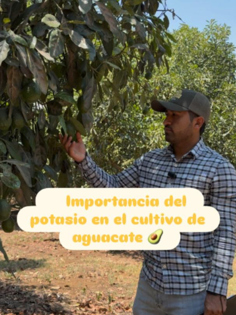 @Gera Cervantes