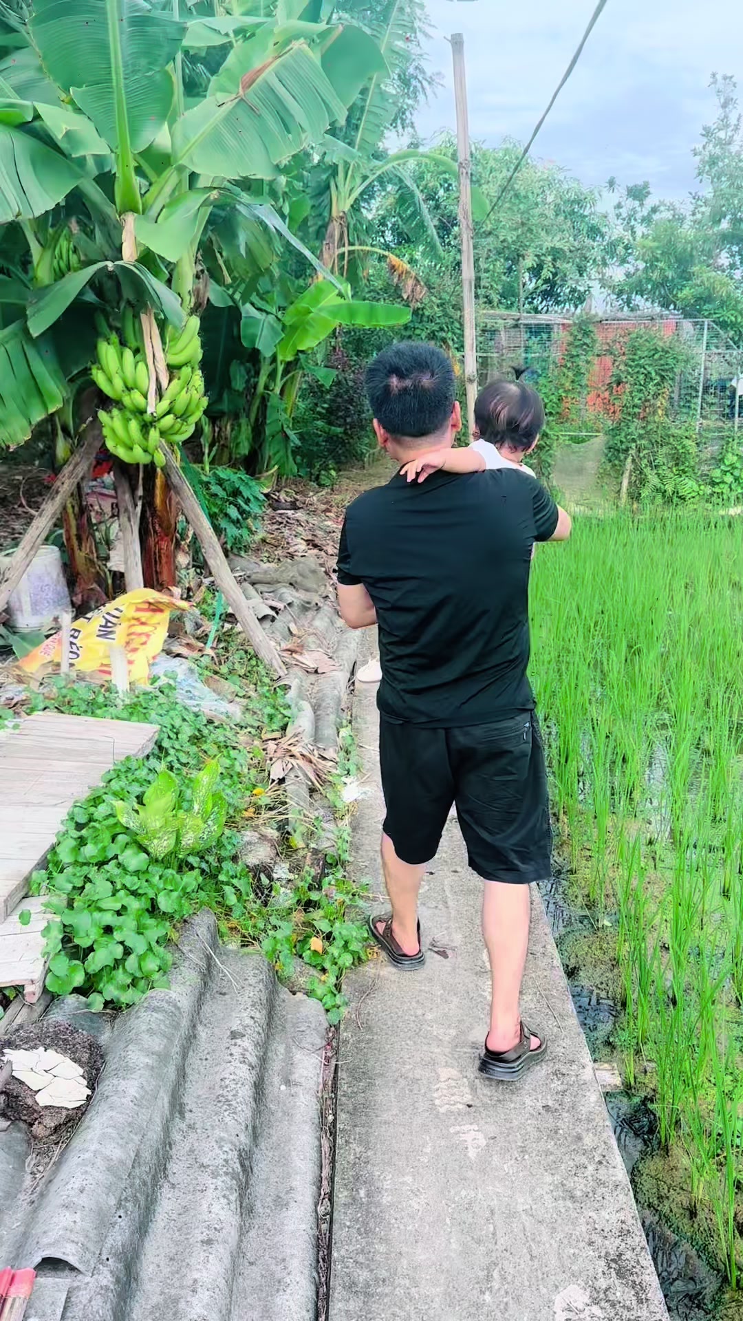 @💗 Hương Chí Phèo 💗
