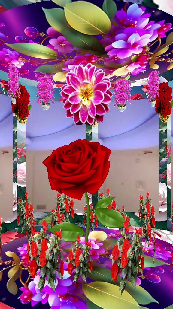 @user9662909676906