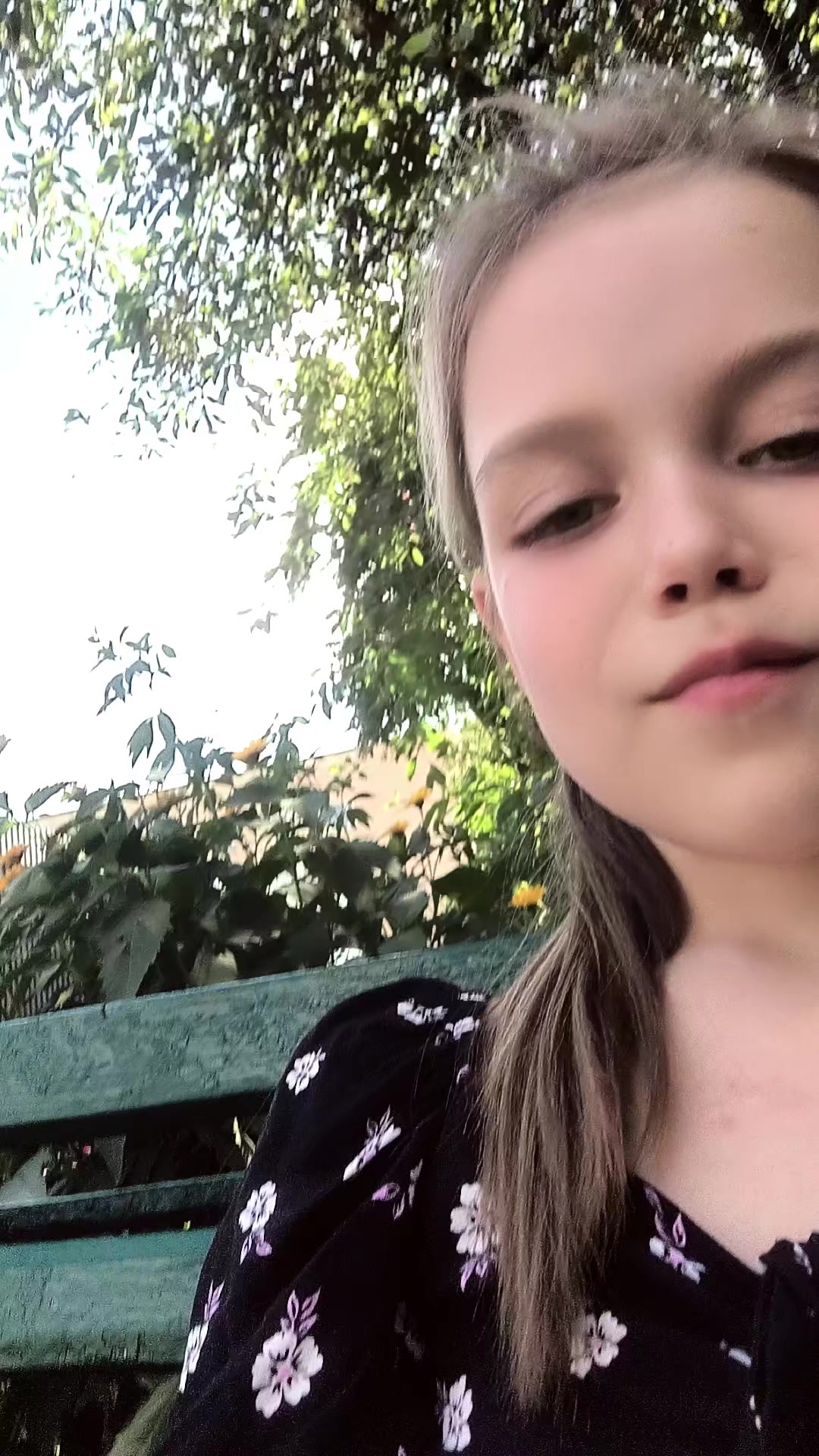 @Ілонеса
