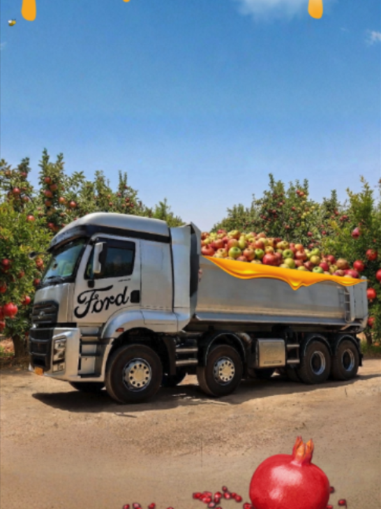@DMC משאיות פורד
