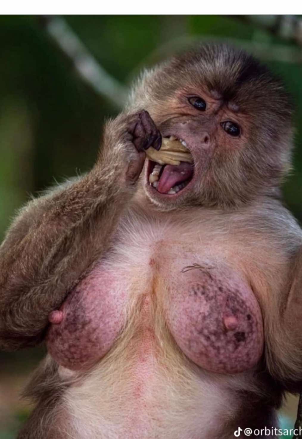 @Sintha | F31’Bipolar