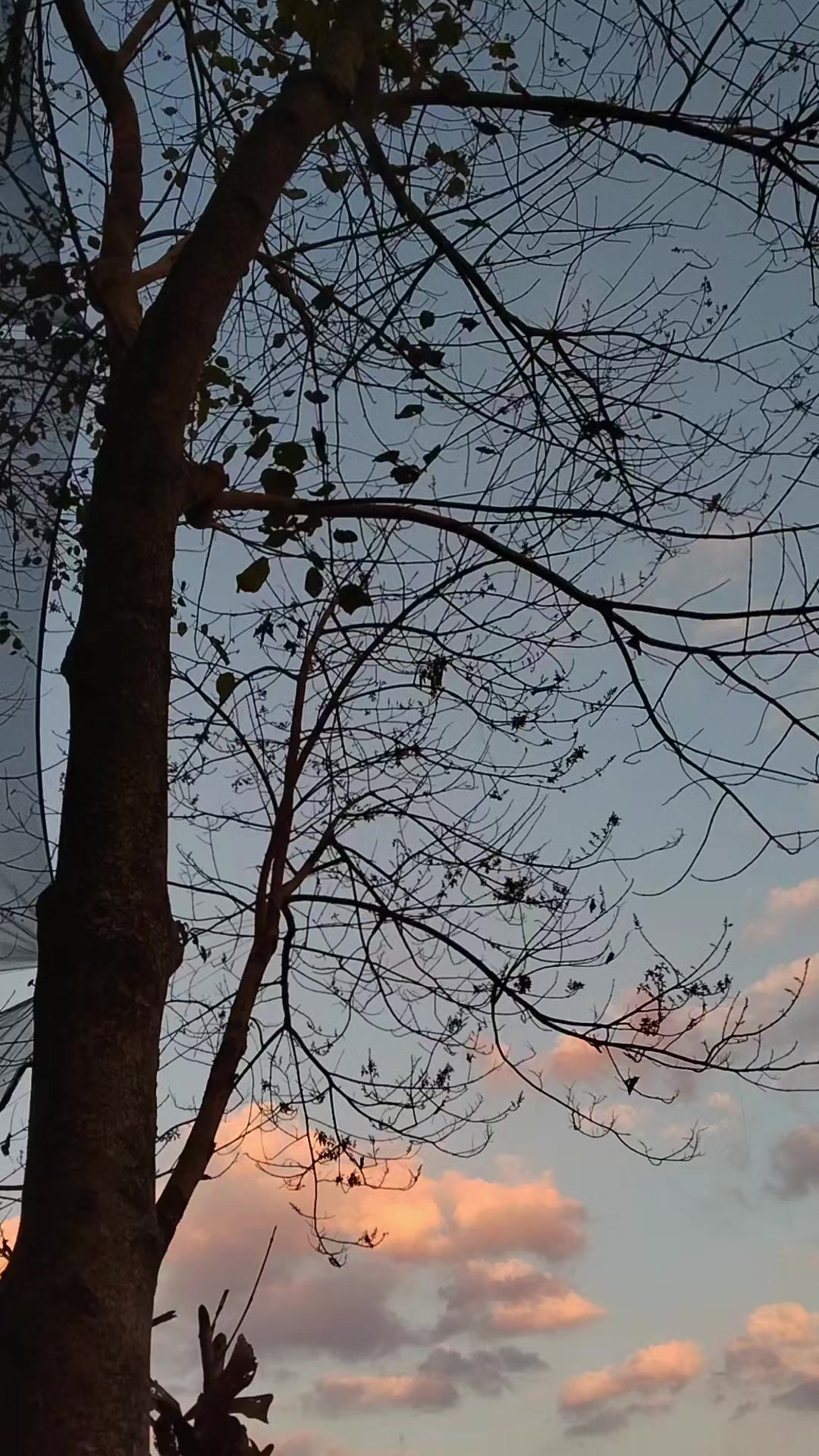 @ILoveBandung