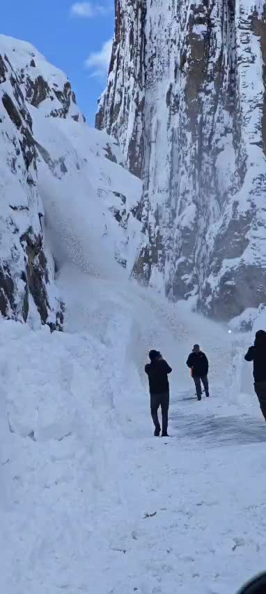 @Veysi Asağ65