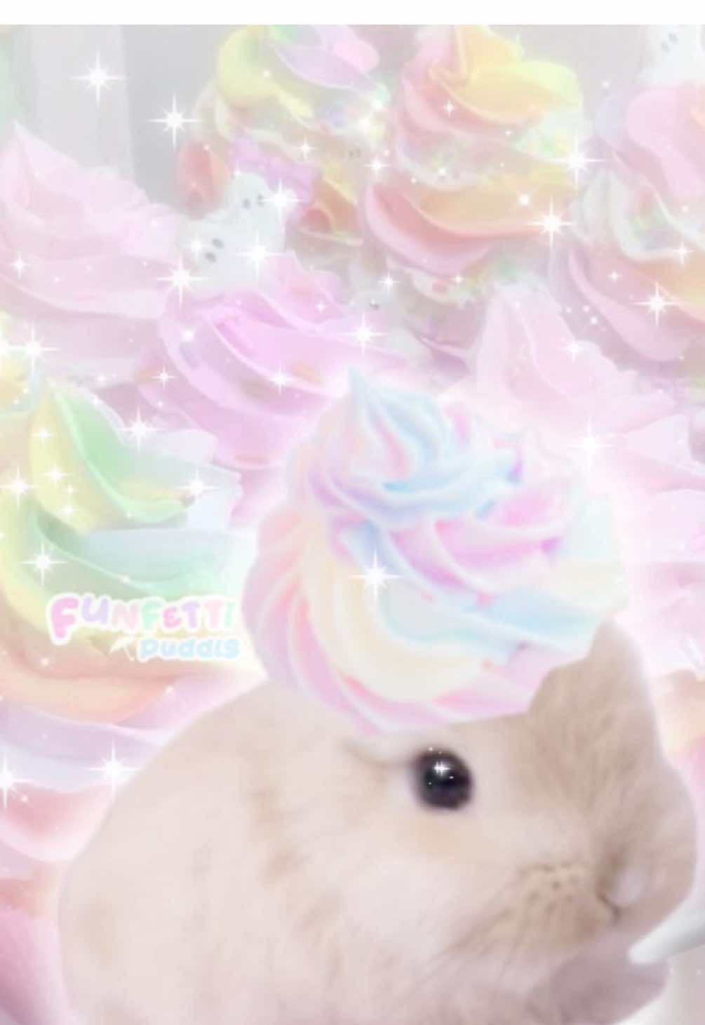 @ℓуnn 🦄