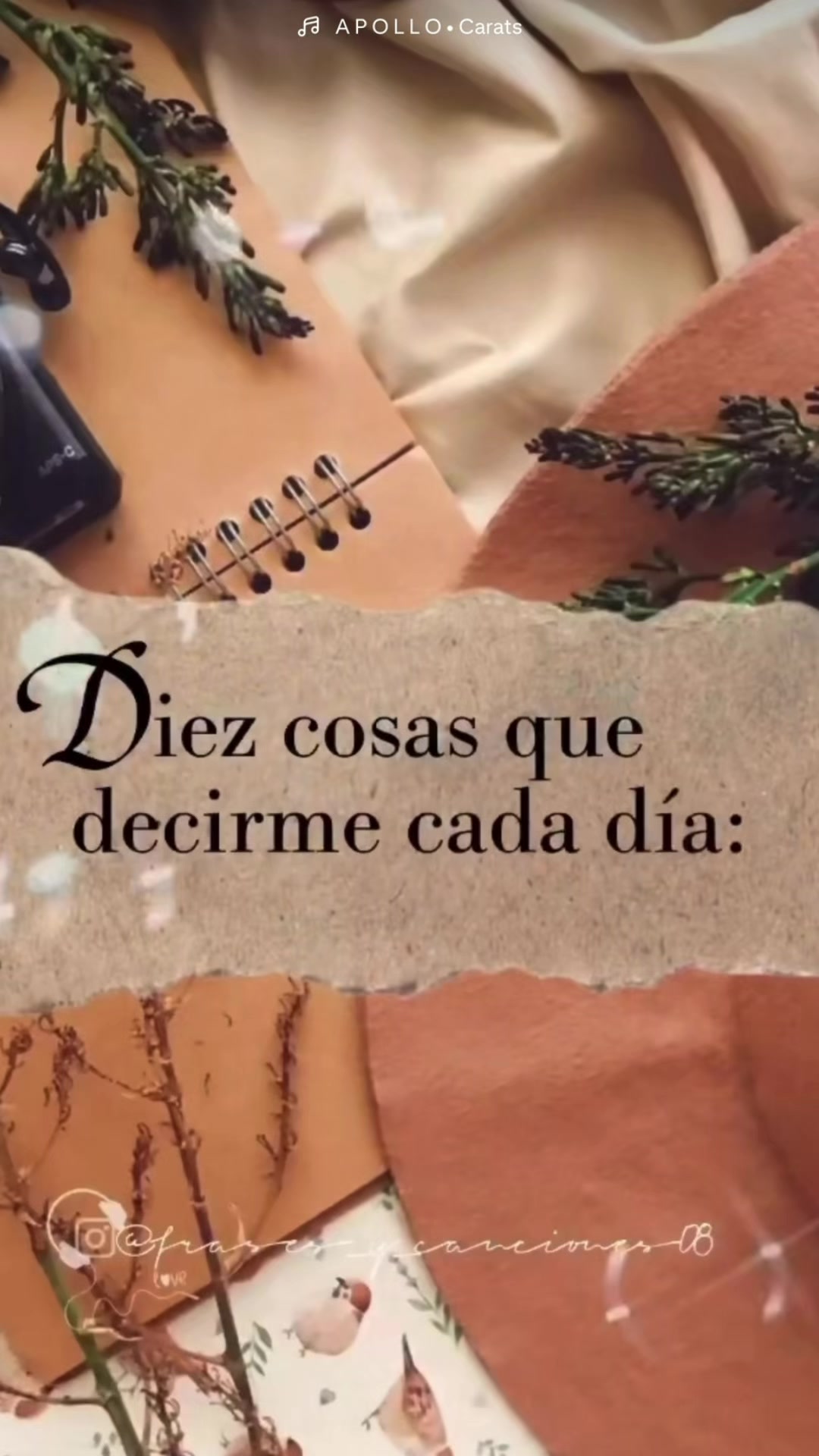 @ᑭOᖇTᗩᒪ Oᖴ EᔕᔕEᑎTIᗩᒪ ᒪIGᕼT