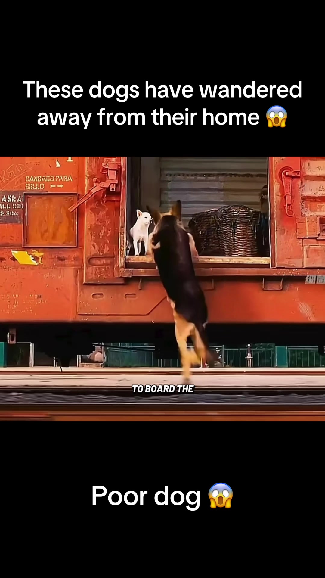 @Ava explainer