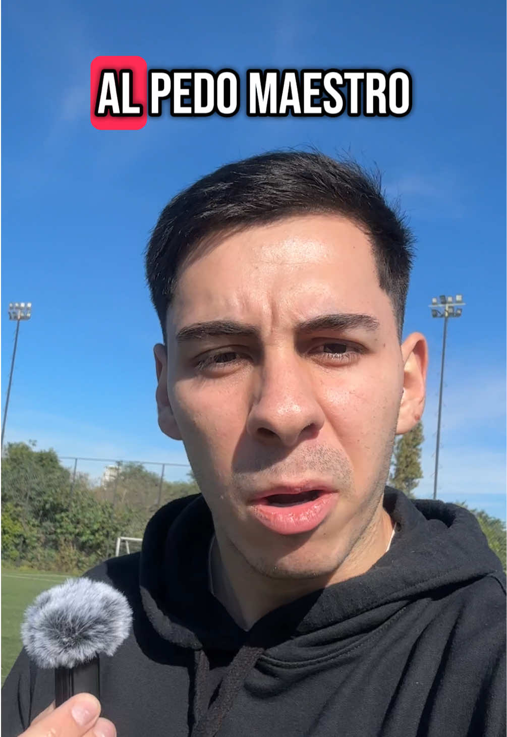 @saanti.feldman