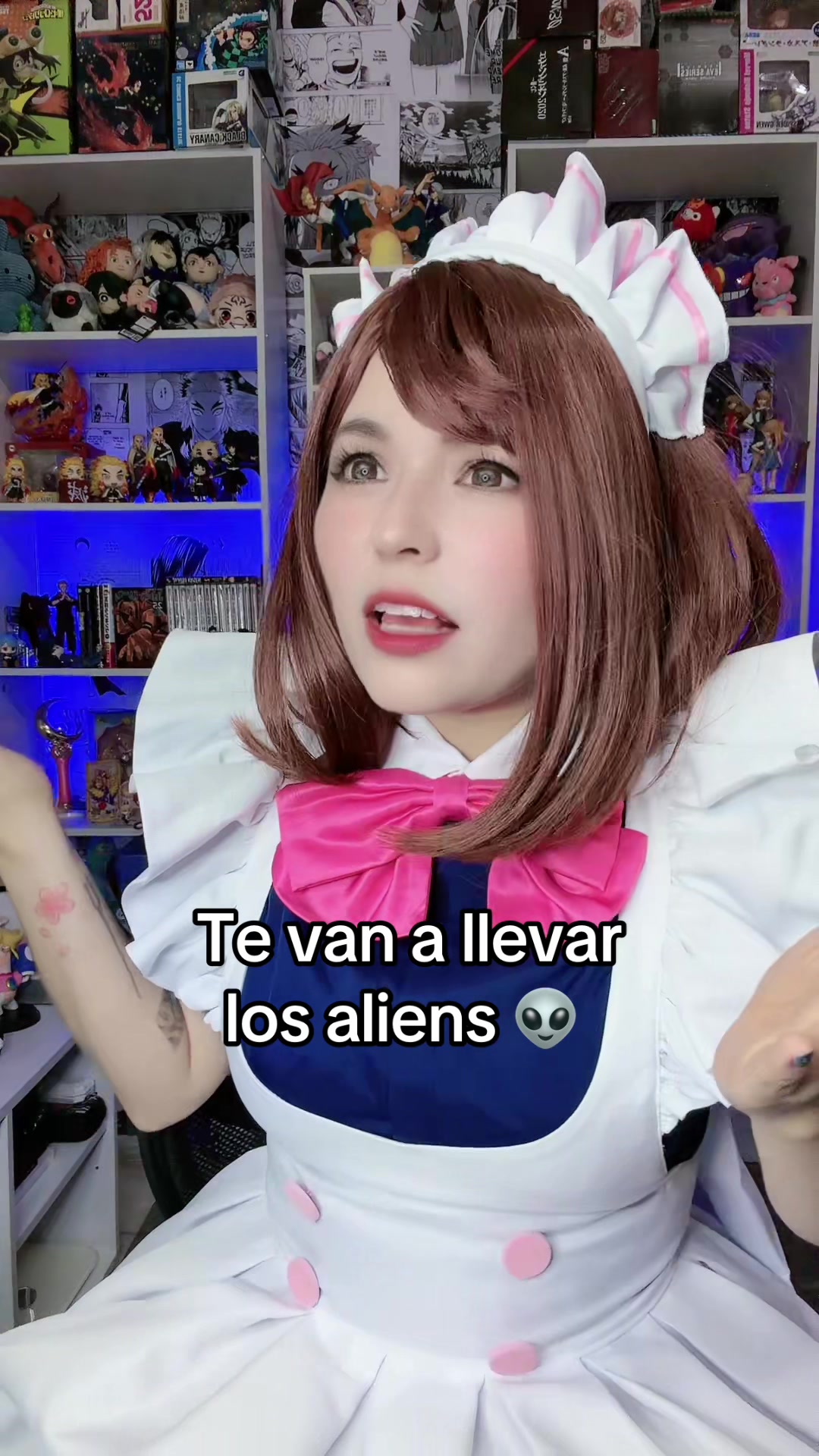 @faninirb