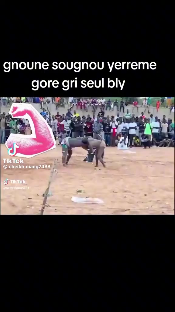 @yorokkk
