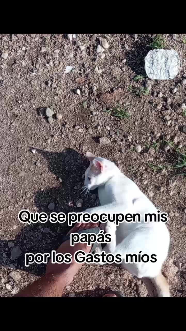 @Jose Franco