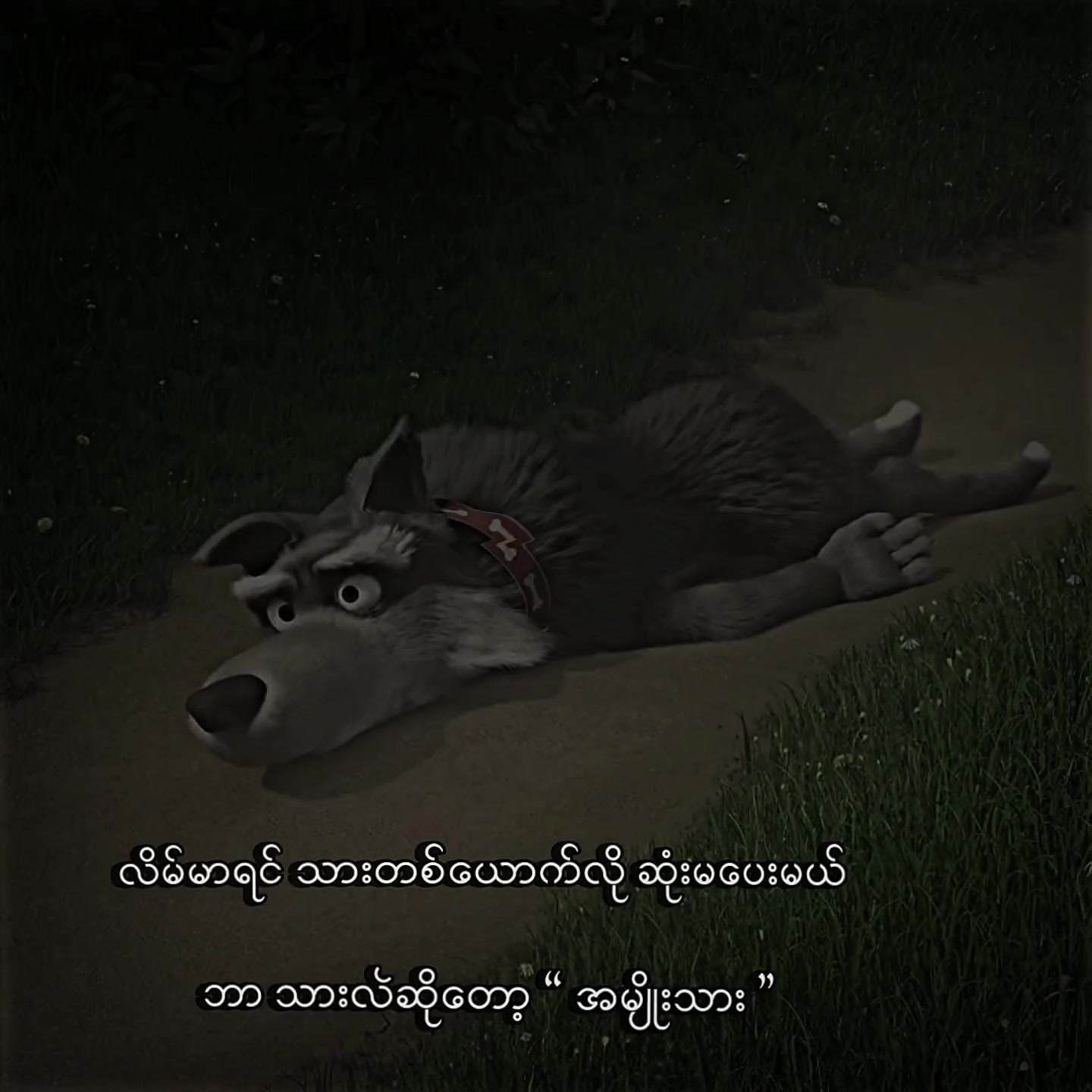 @๐๐๐ฏ๐ข๐ง โฐ