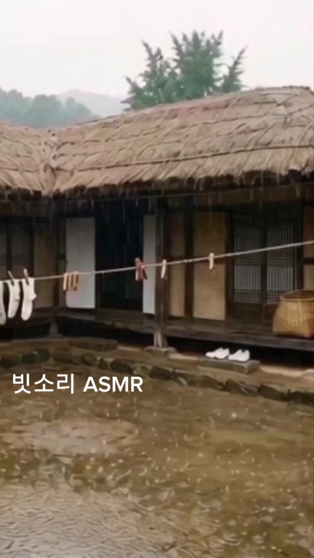 @Rain 감성 ASMR