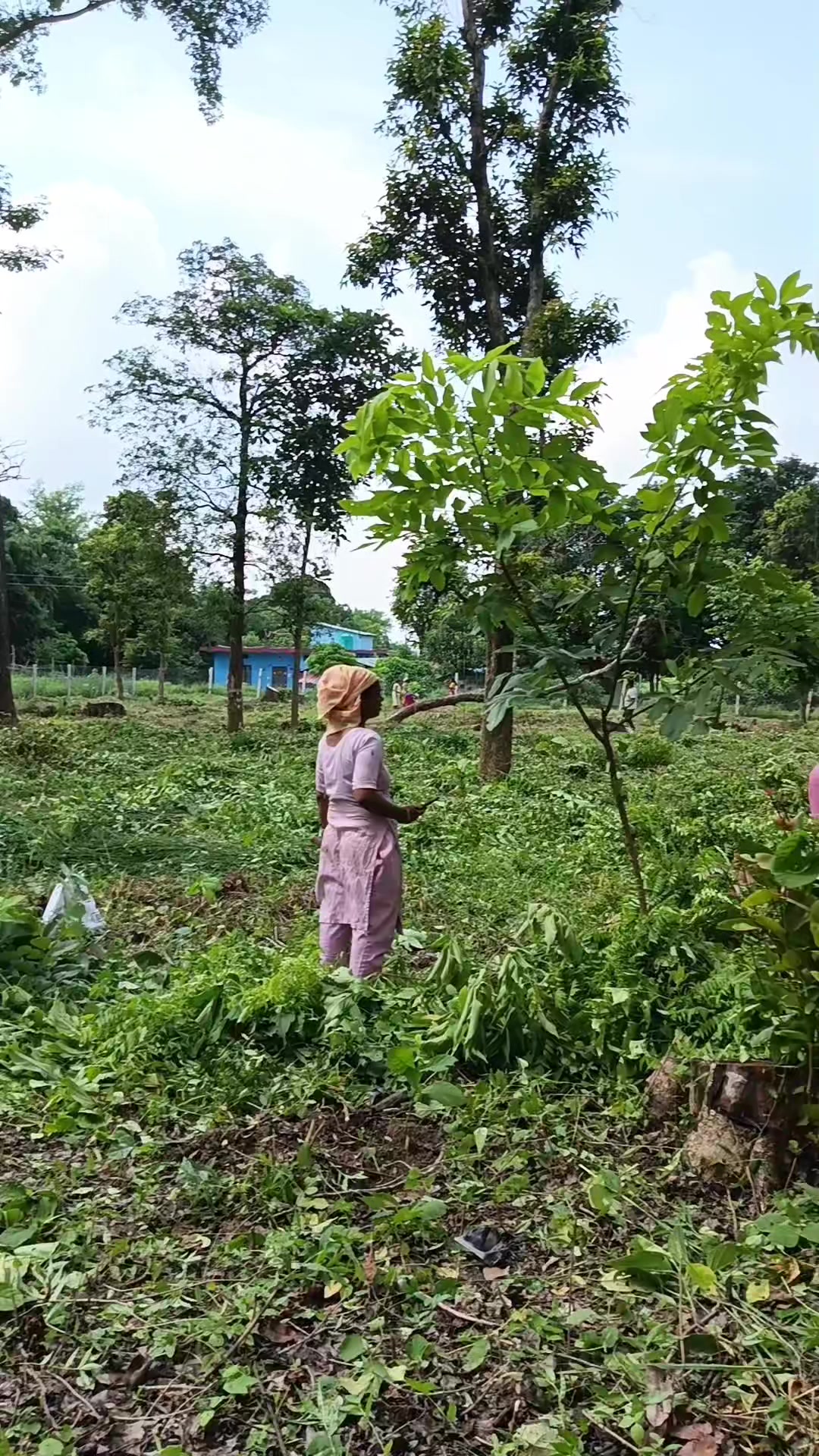 @NJR Dikshya Bhandari